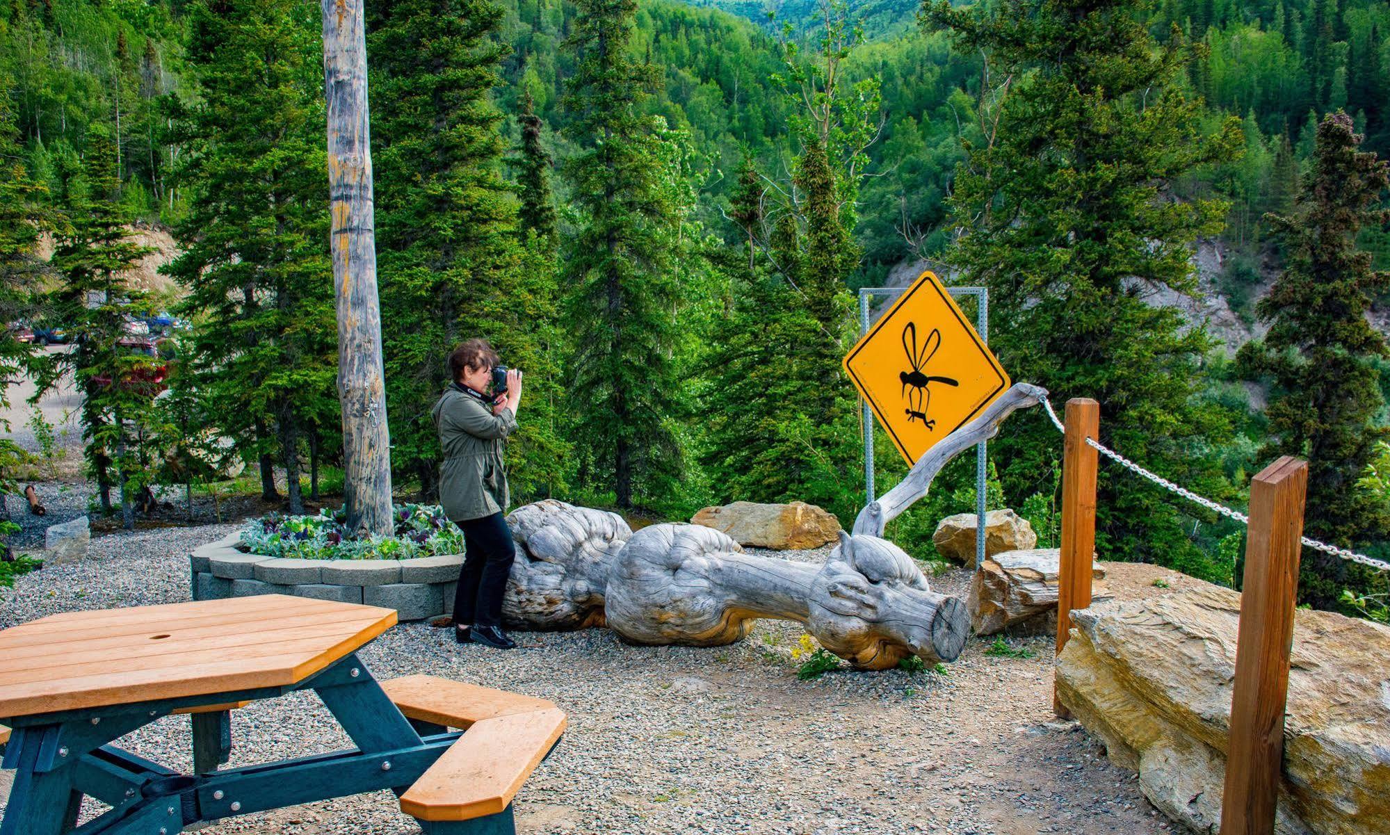 Grande Denali Lodge Denali Park Bagian luar foto